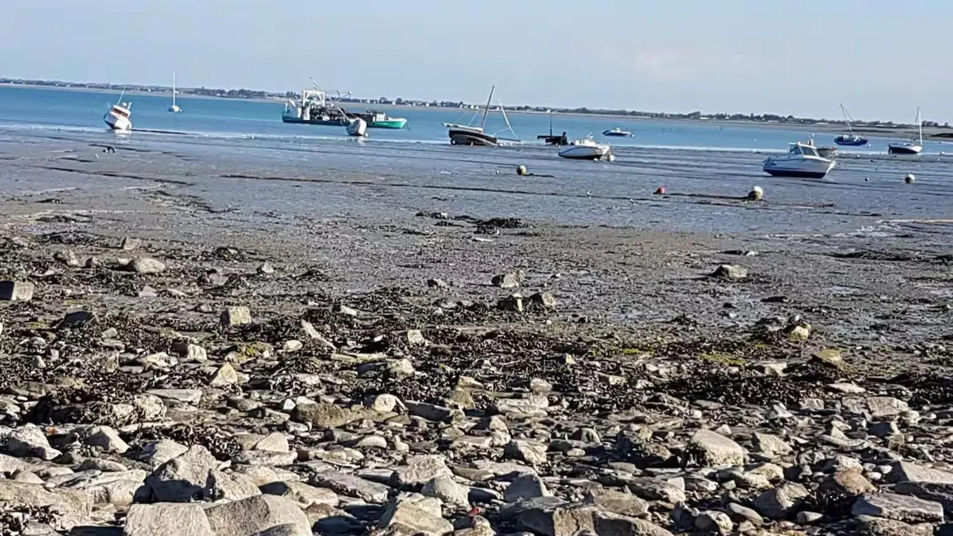 Beautiful Luxury Apartment Near A Breton Oyster Village Cancale